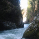 Gorge du Vannelle sur la Sarine